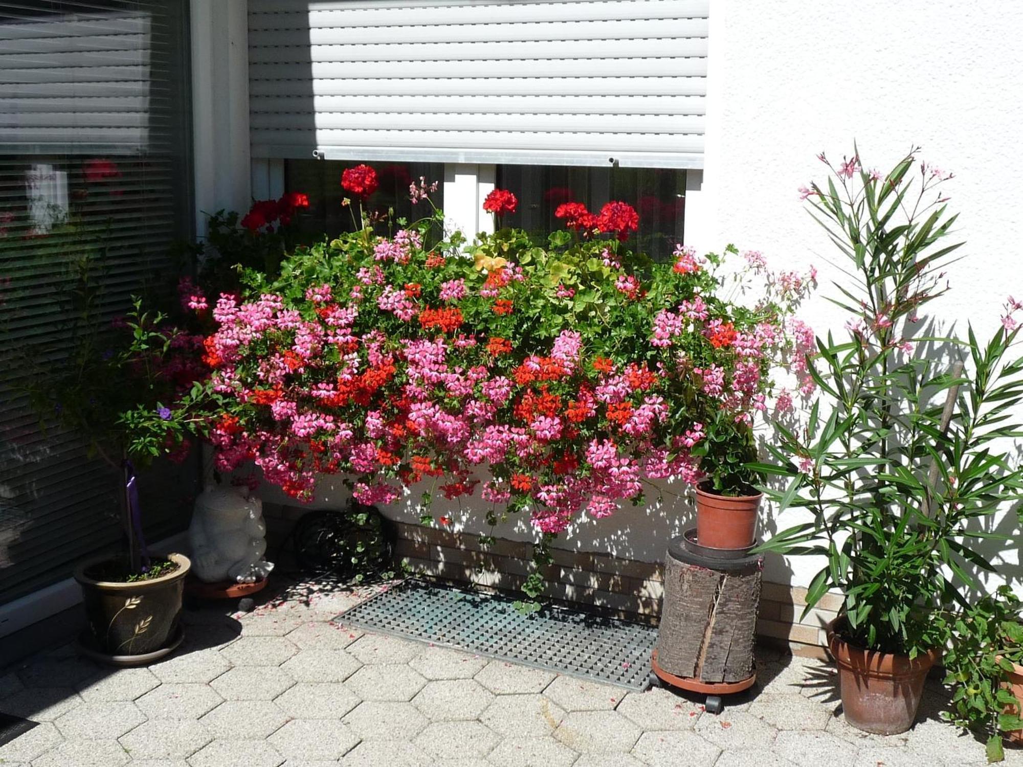 Graceful Apartment In Velmede With Garden Bestwig Eksteriør billede
