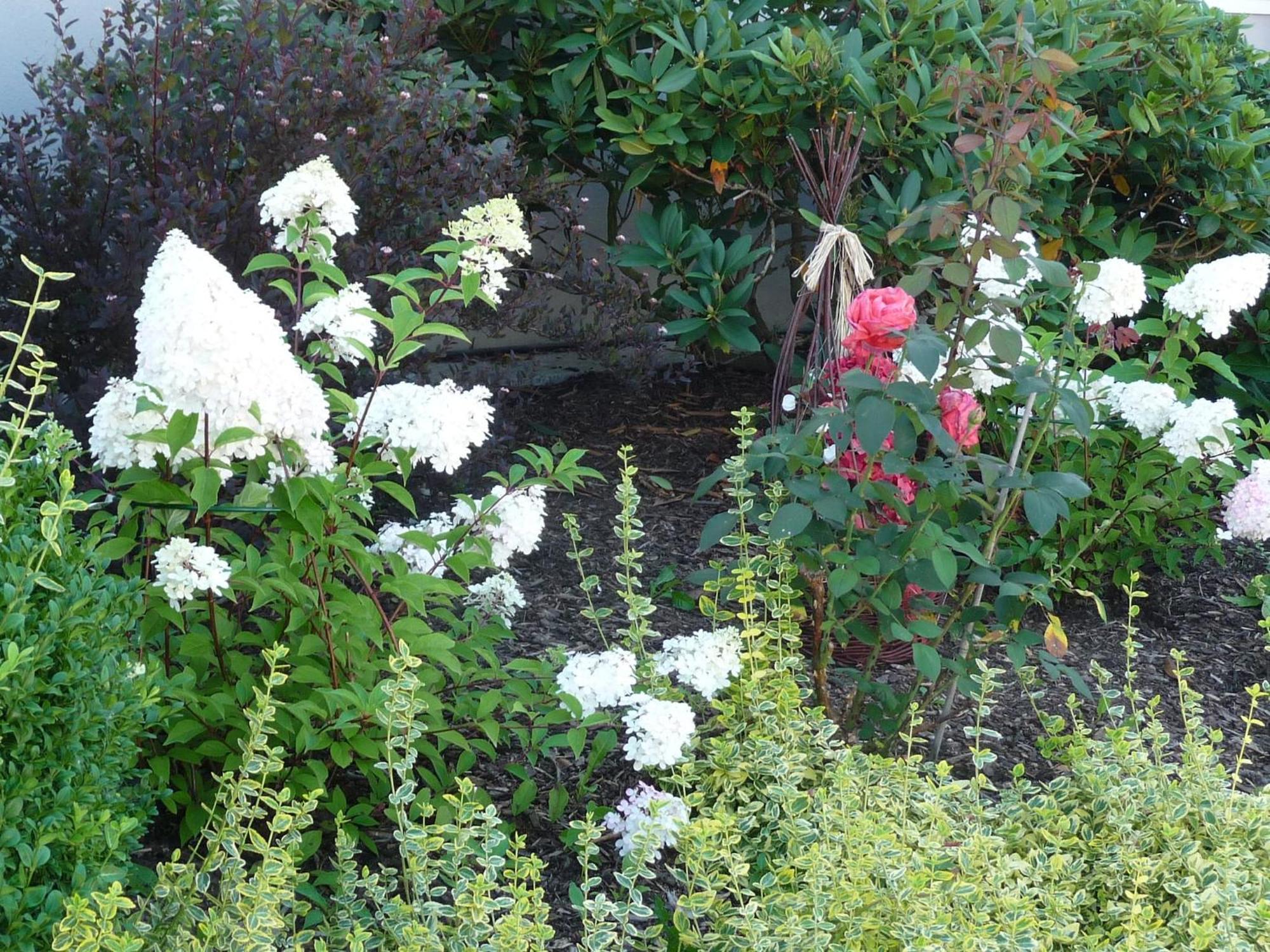 Graceful Apartment In Velmede With Garden Bestwig Eksteriør billede